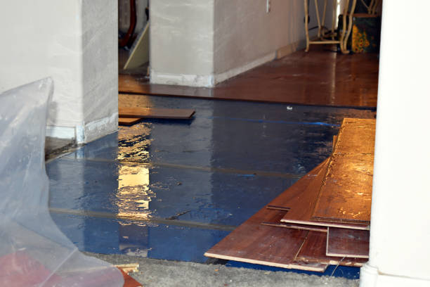 Professional Emergency Water Damage Restoration technician working in Powhatan Point, OH